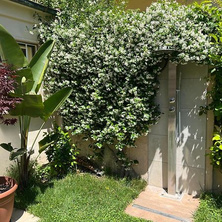Monolocale Pura Vida Apartment Viareggio Exterior photo